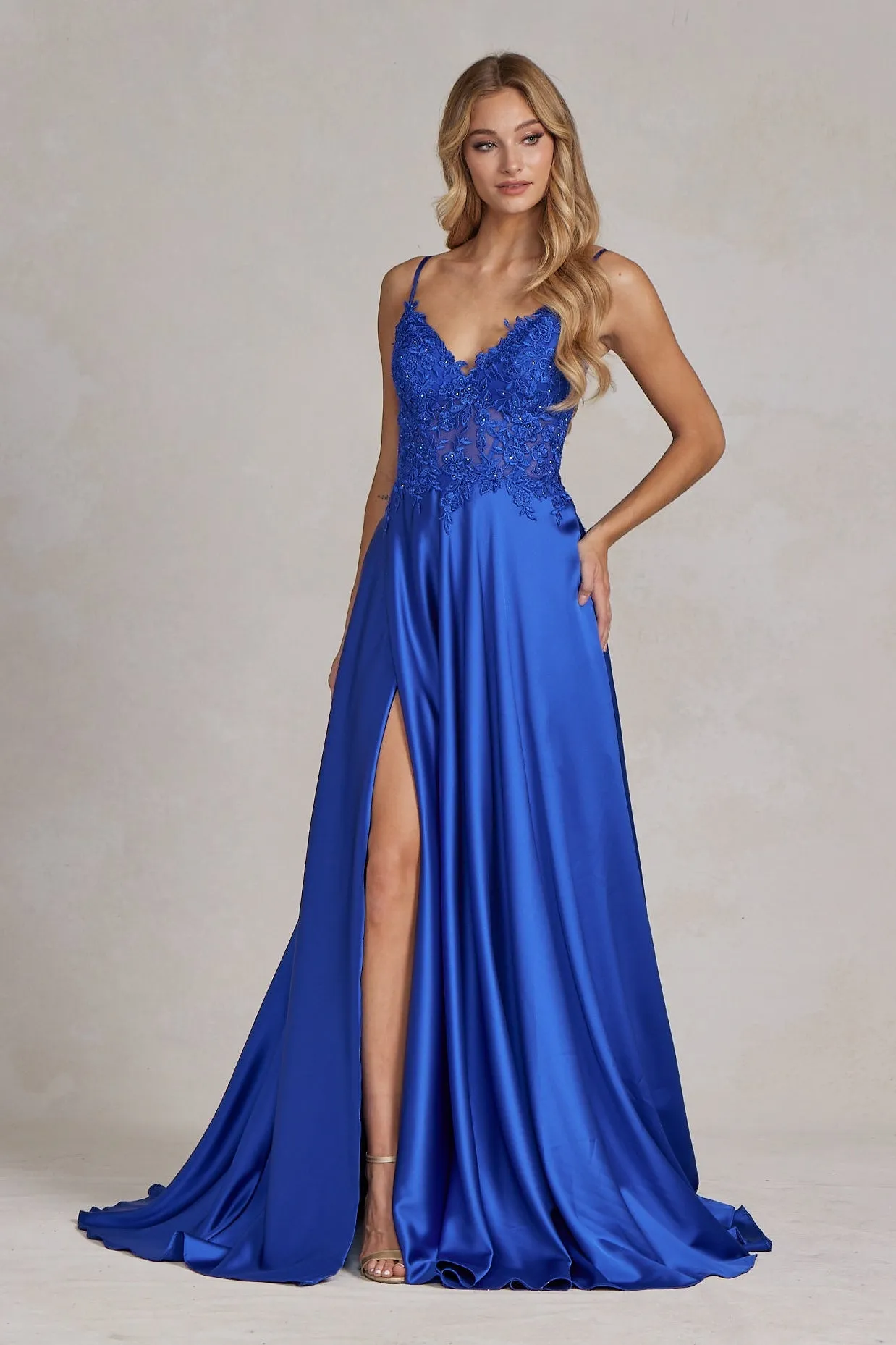 Embroidered Lace Bodice Open V-Back