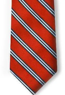 Leaps Stripe Girls Tie