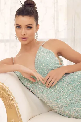 Mermaid Embroidered Sequins
