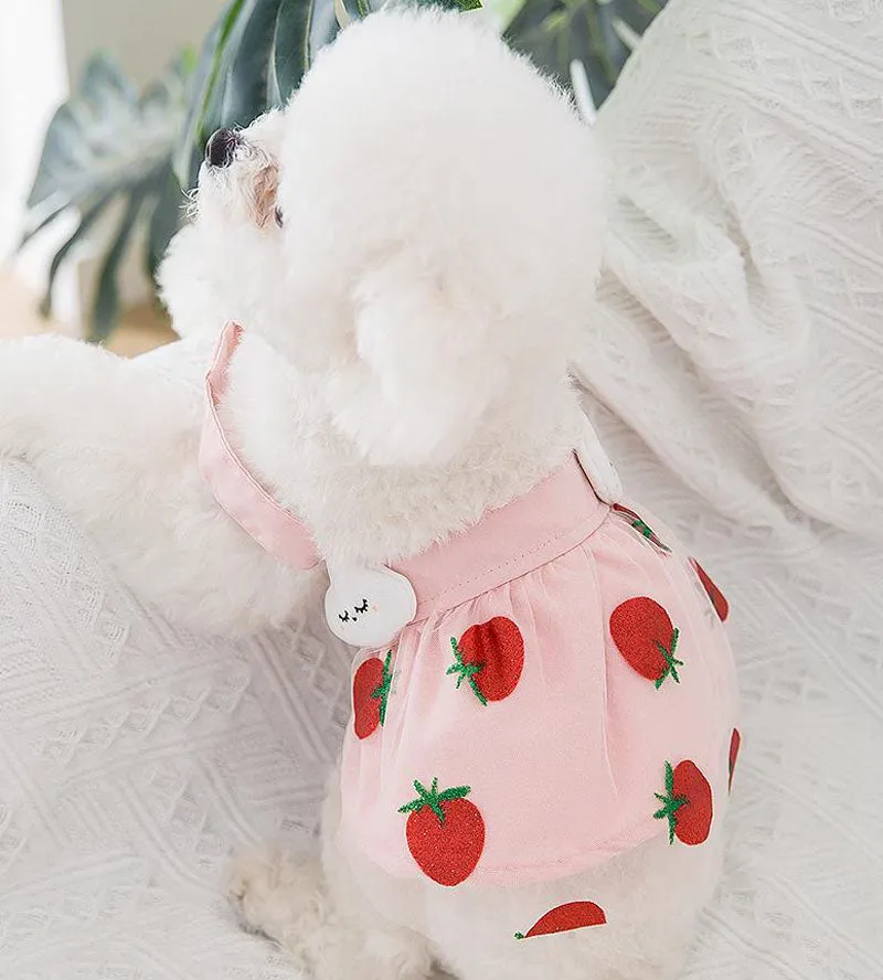 New spring and summer thin cute puppy and cat vest skirt