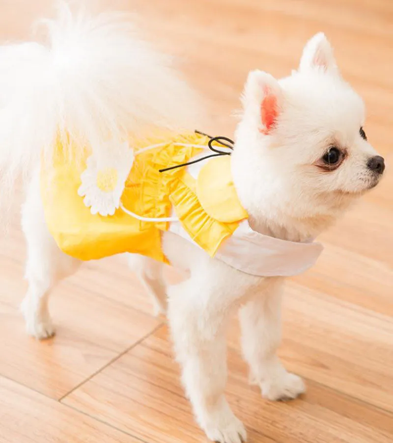 New spring and summer thin cute puppy and cat vest skirt