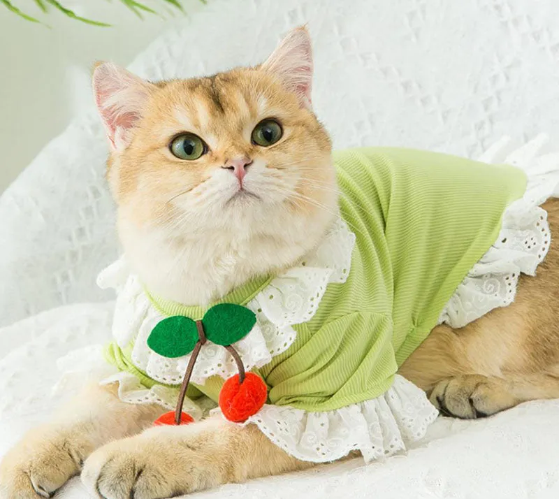 New spring and summer thin cute puppy and cat vest skirt
