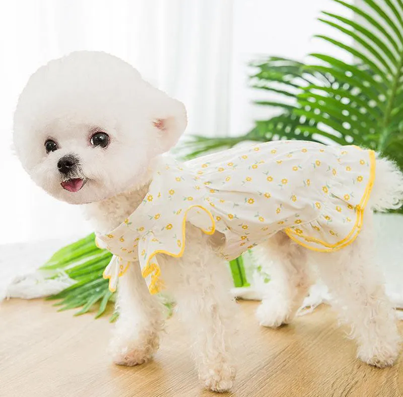 New spring and summer thin cute puppy and cat vest skirt