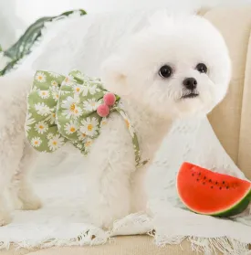 New spring and summer thin cute puppy and cat vest skirt