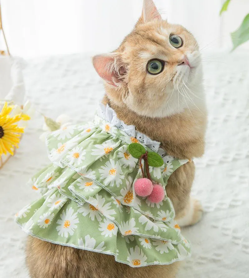 New spring and summer thin cute puppy and cat vest skirt