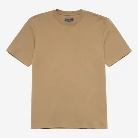 Palmela Camel
